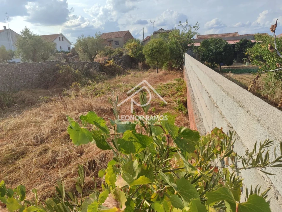 Terreno para Venda em Castelo Branco Foto 6