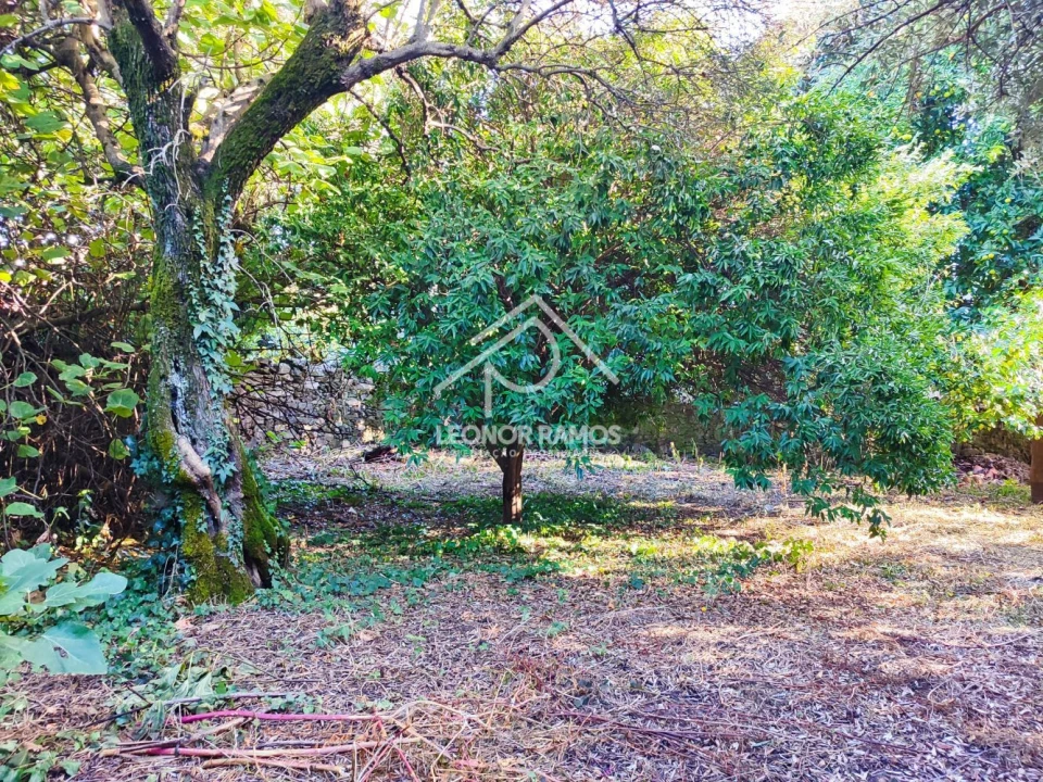 Moradia T4 para Venda em Ninho do Açor e Sobral do Campo Foto 29