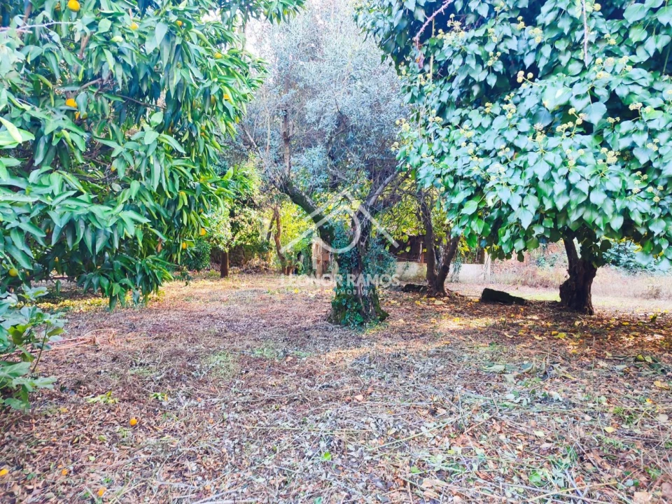 Moradia T4 para Venda em Ninho do Açor e Sobral do Campo Foto 27