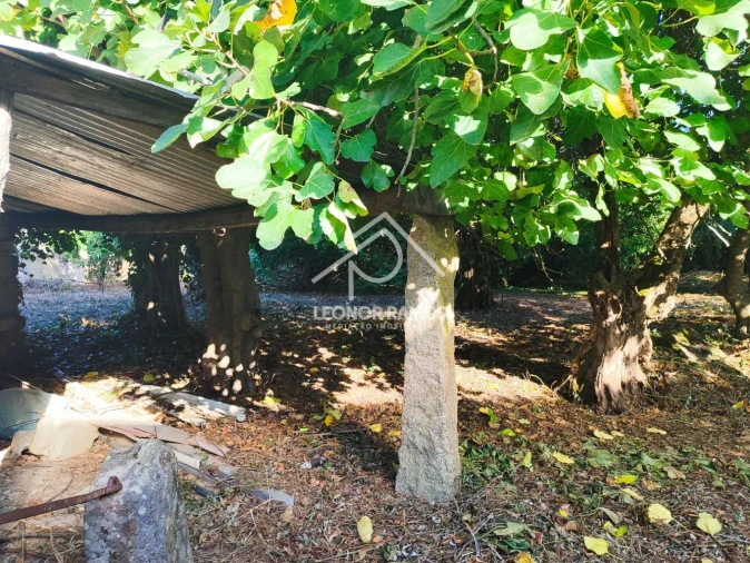 Moradia T4 para Venda em Ninho do Açor e Sobral do Campo Foto 3