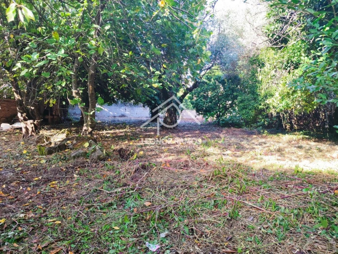 Moradia T4 para Venda em Ninho do Açor e Sobral do Campo Foto 6