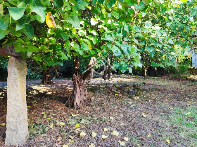 Moradia T4 para Venda em Ninho do Açor e Sobral do Campo Foto 33