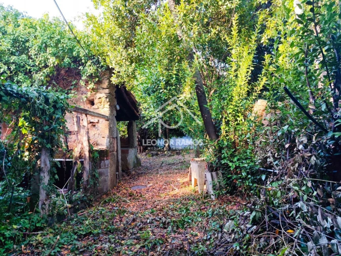 Moradia T4 para Venda em Ninho do Açor e Sobral do Campo Foto 22