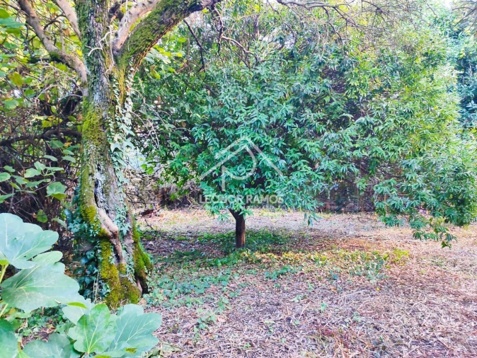 Moradia T4 para Venda em Ninho do Açor e Sobral do Campo Foto 24