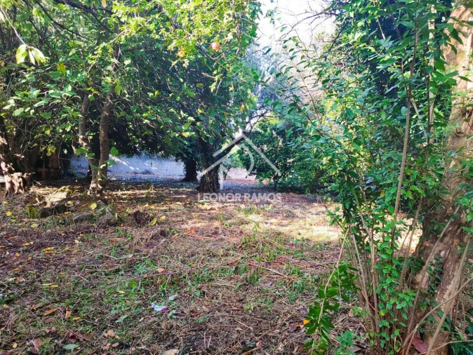 Moradia T4 para Venda em Ninho do Açor e Sobral do Campo Foto 7