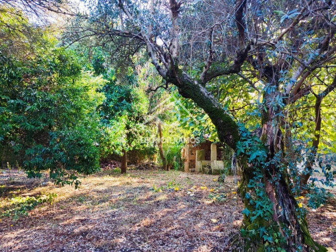 Moradia T4 para Venda em Ninho do Açor e Sobral do Campo Foto 30