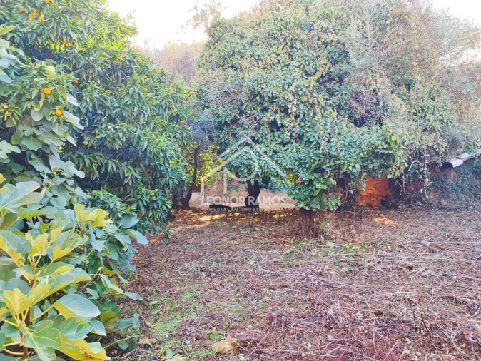 Moradia T4 para Venda em Ninho do Açor e Sobral do Campo Foto 28