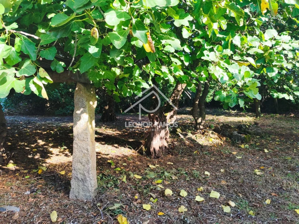 Moradia T4 para Venda em Ninho do Açor e Sobral do Campo Foto 4