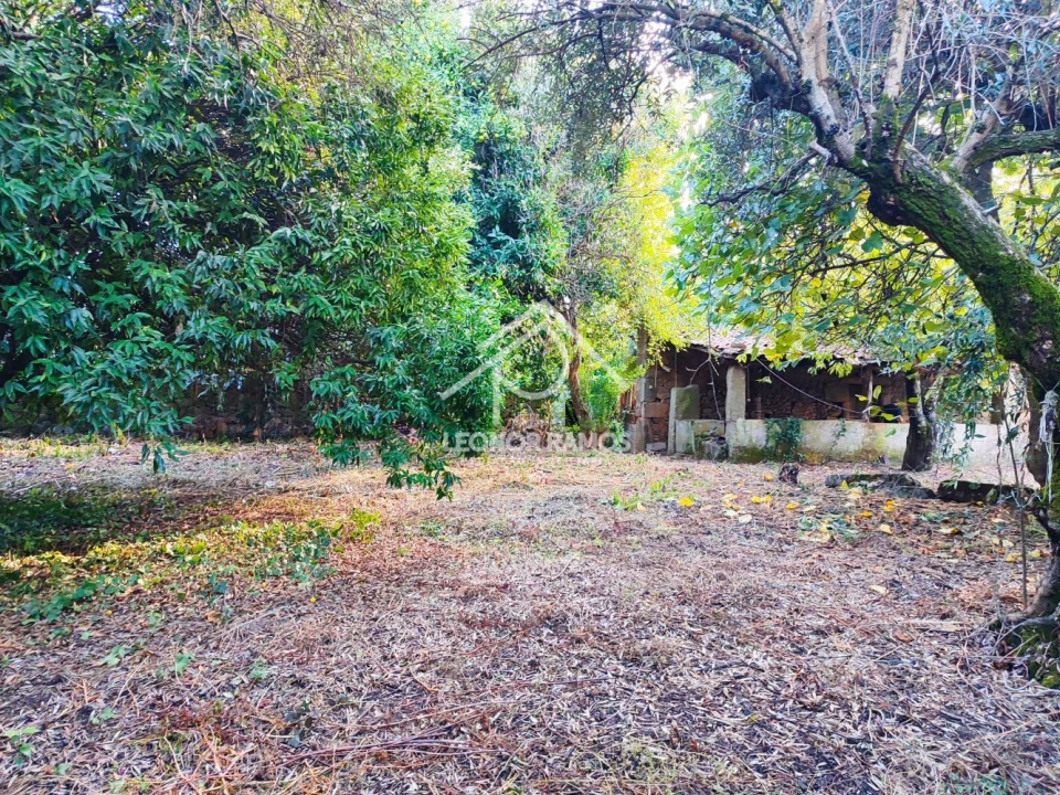 Moradia T4 para Venda em Ninho do Açor e Sobral do Campo Foto 25