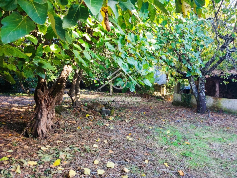 Moradia T4 para Venda em Ninho do Açor e Sobral do Campo Foto 31
