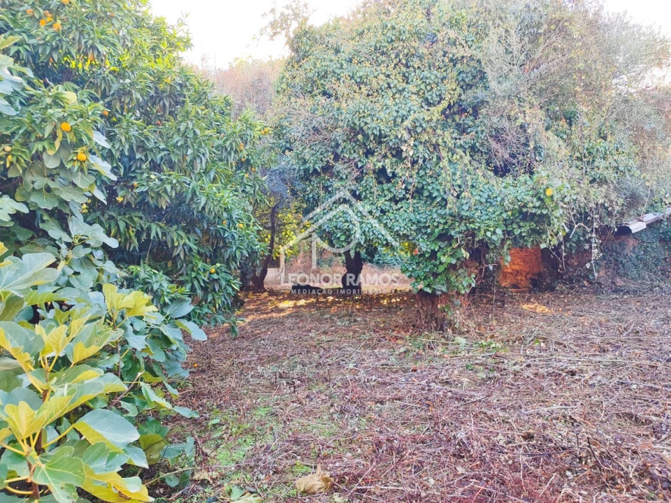 Moradia T4 para Venda em Ninho do Açor e Sobral do Campo Foto 28