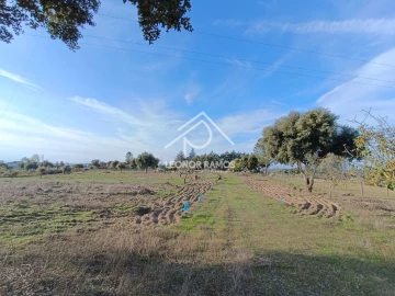 Terreno para Venda em Castelo Branco