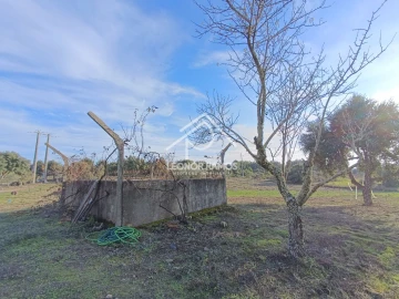 Terreno para Venda em Castelo Branco