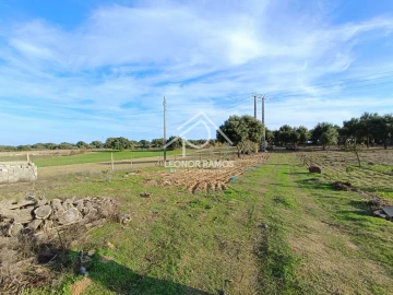 Terreno para Venda em Castelo Branco