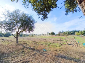Terreno para Venda em Castelo Branco