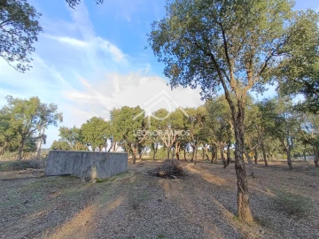 Terreno para Venda em Castelo Branco
