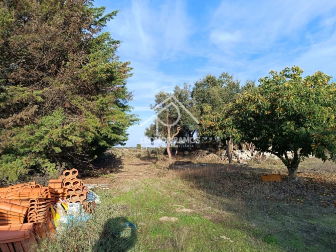 Terreno para Venda em Castelo Branco Foto 3