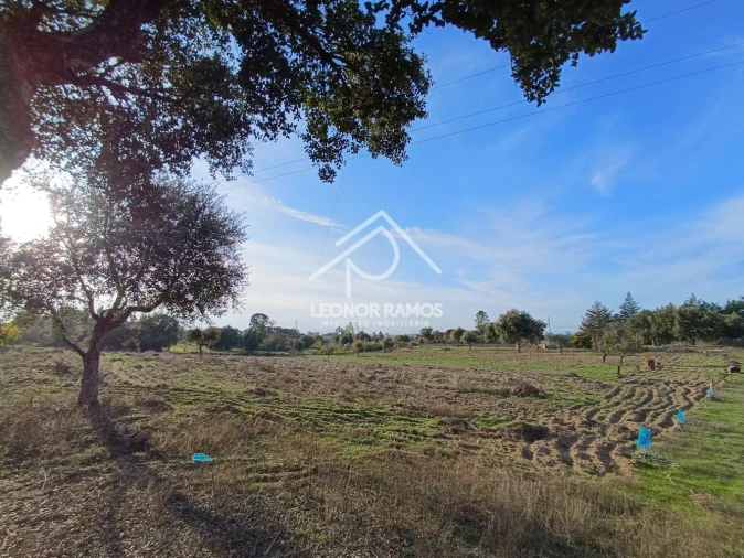 Terreno para Venda em Castelo Branco Foto 18