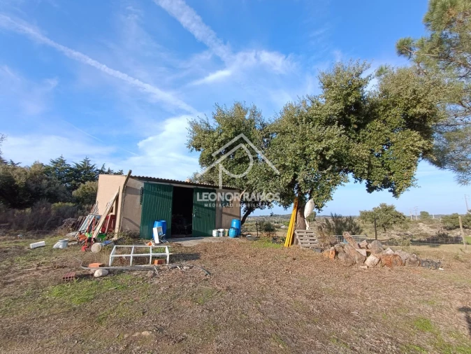 Terreno para Venda em Castelo Branco Foto 9