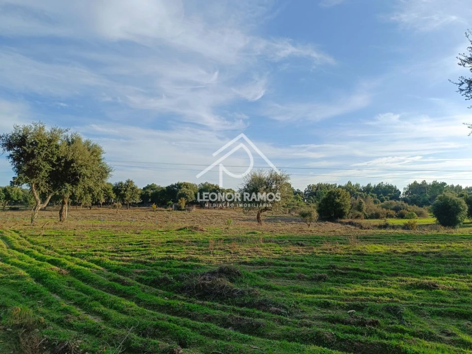 Terreno para Venda em Castelo Branco Foto 1