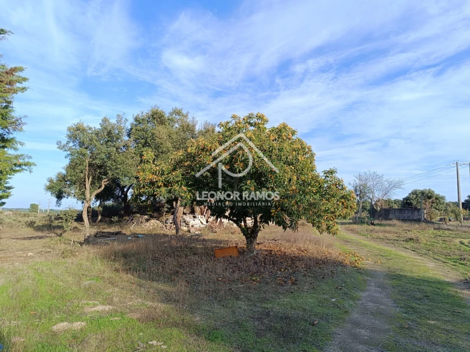 Terreno para Venda em Castelo Branco Foto 4