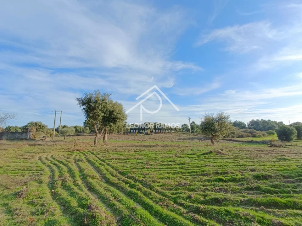 Terreno para Venda em Castelo Branco Foto 5