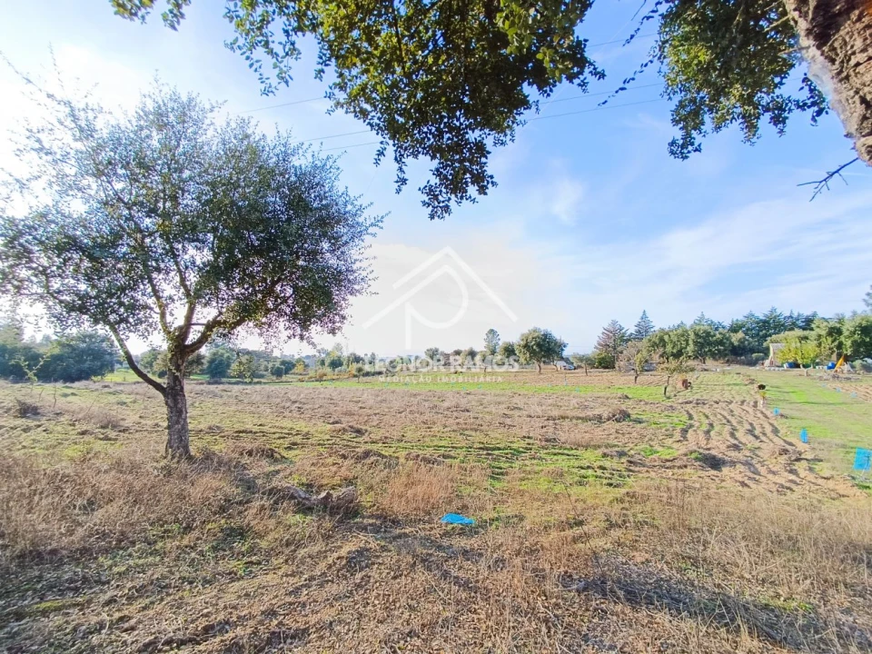 Terreno para Venda em Castelo Branco Foto 12
