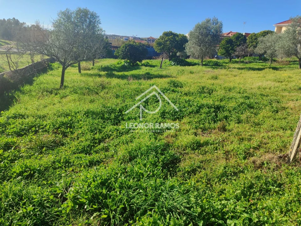 Terreno para Venda em Castelo Branco Foto 1