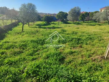 Terreno para Venda em Castelo Branco