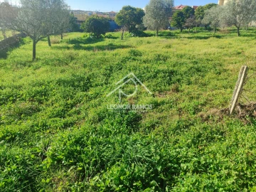Terreno para Venda em Castelo Branco