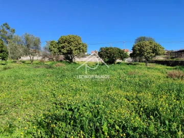 Terreno para Venda em Castelo Branco