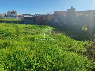 Terreno para Venda em Castelo Branco