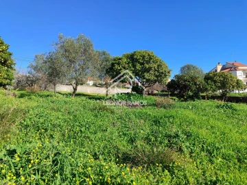 Terreno para Venda em Castelo Branco