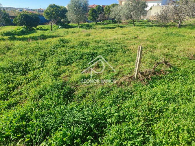 Terreno para Venda em Castelo Branco Foto 2