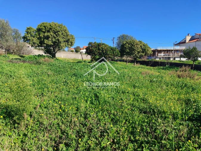 Terreno para Venda em Castelo Branco Foto 5