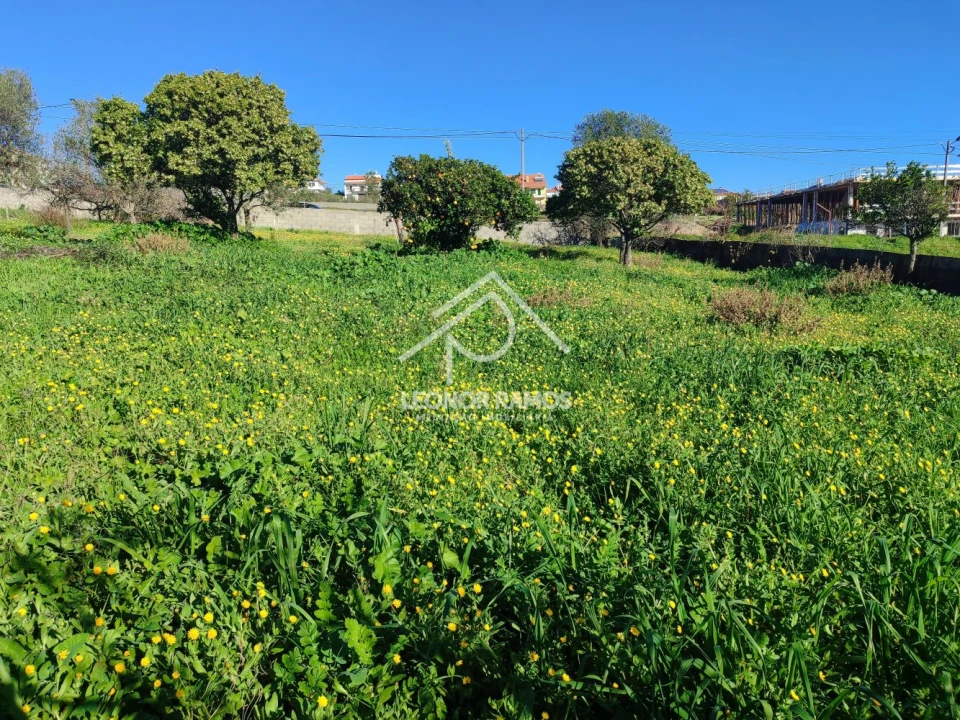 Terreno para Venda em Castelo Branco Foto 6
