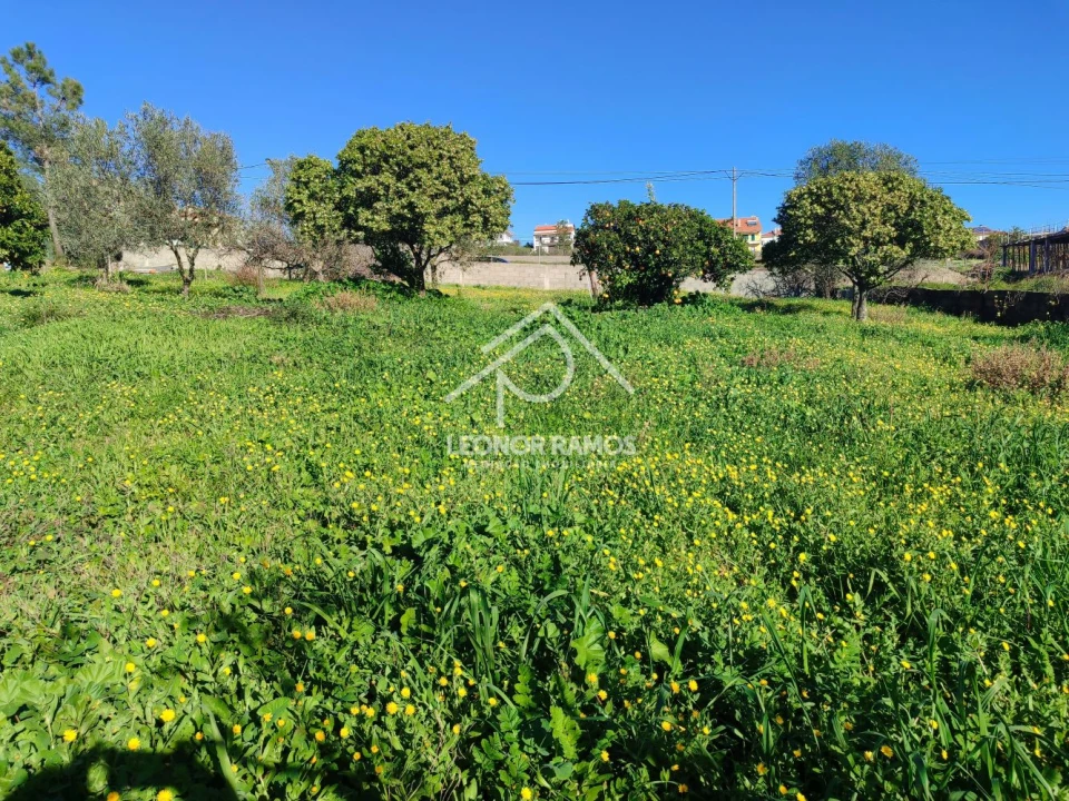 Terreno para Venda em Castelo Branco Foto 7