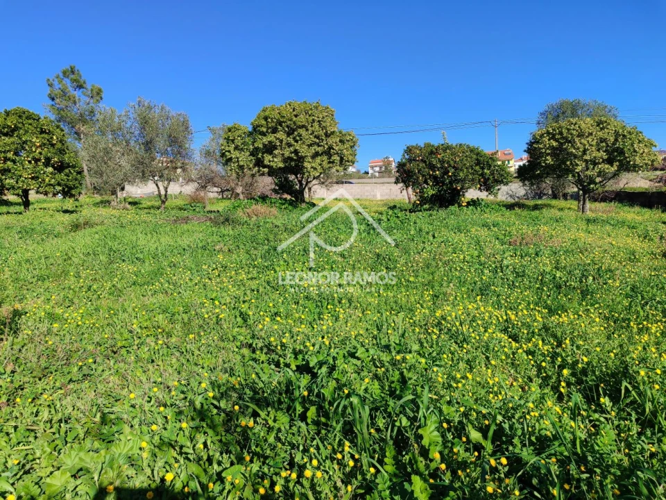 Terreno para Venda em Castelo Branco Foto 9