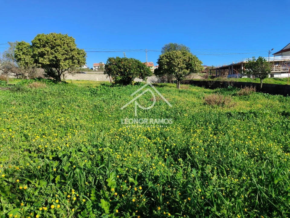 Terreno para Venda em Castelo Branco Foto 10