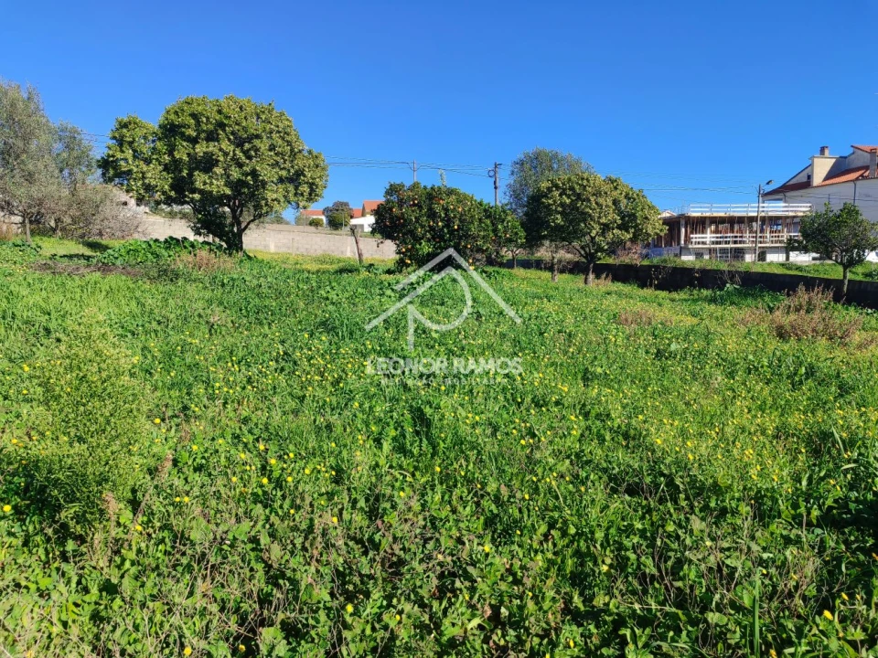 Terreno para Venda em Castelo Branco Foto 5