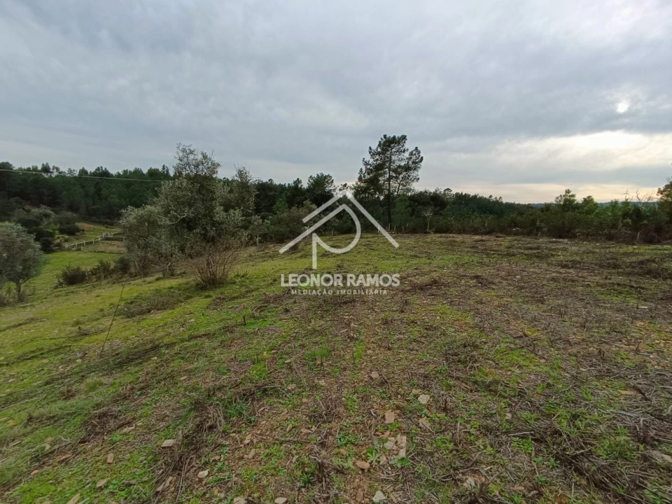 Terreno para Venda em Benquerenças Foto 7