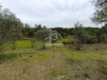 Terreno para Venda em Benquerenças