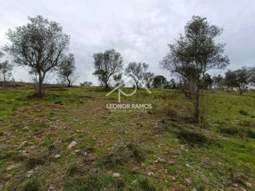 Terreno para Venda em Benquerenças