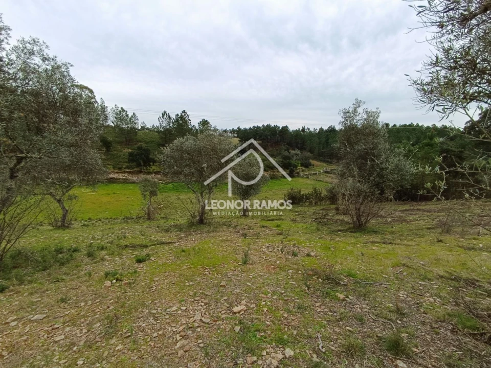 Terreno para Venda em Benquerenças Foto 8