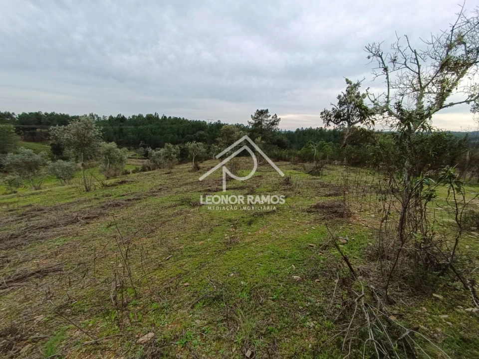 Terreno para Venda em Benquerenças Foto 18