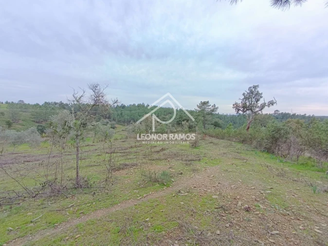 Terreno para Venda em Benquerenças Foto 1