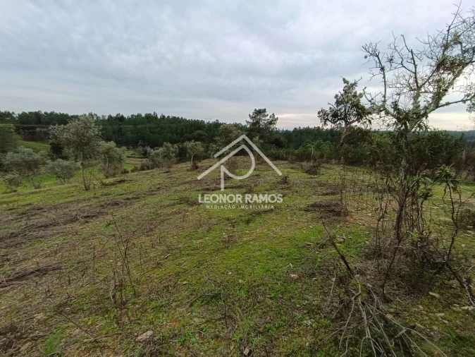 Terreno para Venda em Benquerenças Foto 18