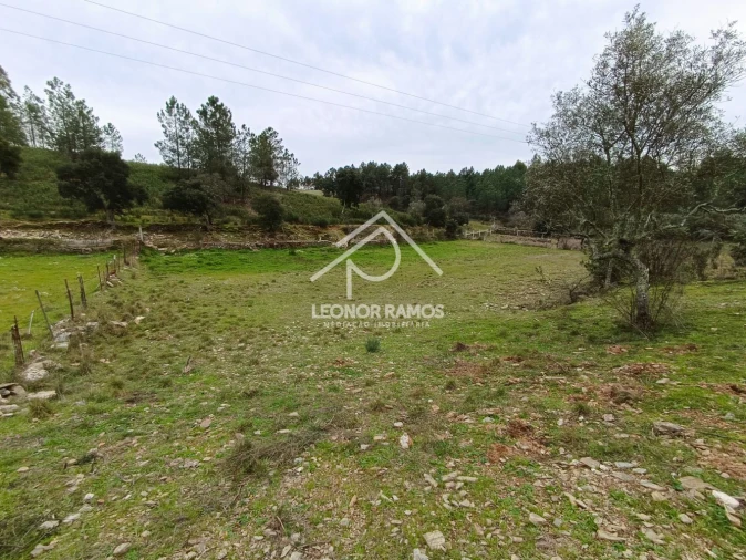 Terreno para Venda em Benquerenças Foto 12