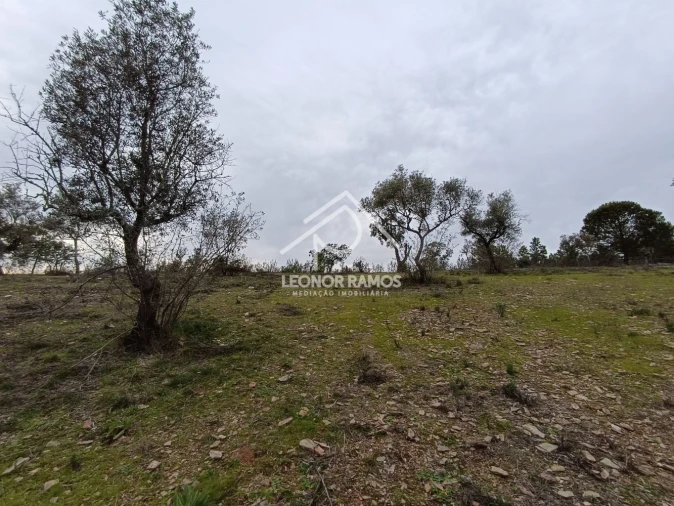 Terreno para Venda em Benquerenças Foto 11