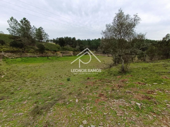 Terreno para Venda em Benquerenças Foto 13